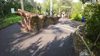 Toronto zoo