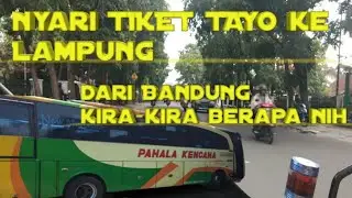 Beli Tiket Bis dari Bandung ke Lampung⁉️ || Recomment ga harga segini❓