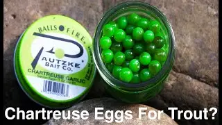 Can You Catch Trout with Chartreuse Salmon Eggs