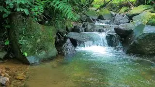Calming Moonlight River Stream &ndash; Gentle Water Sounds to Support Deep Sleep