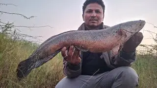 #fishing #fish #maralfish #snakehead #bigfish #angler #fishinglife #monster #big 