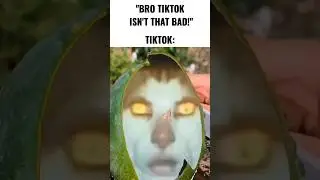 TikTok moment 🤨