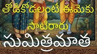 సుమిత్రమాత పవిత్ర చరిత 