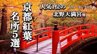 【4K 5 Осенние листья 🍁в Киото】Святилище Китано Тэнмангу, Храм Бёдо-ин, Зал Сандзюсангэндо