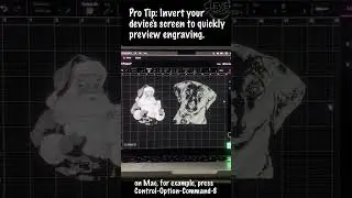 Screen Inversion Quick Demo