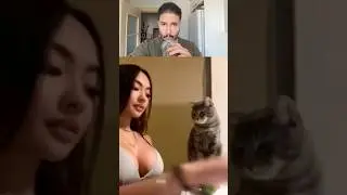 Cat 😂😂🤦🏻&zwj;♂️   #cat #humor #dontlaugh #dontlaughchallenge #funny #petshorts #shorts #docferi_asmr