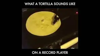 What a Tortilla Sounds Like on a Record Player
