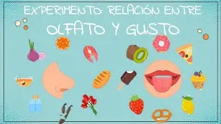 Experimento Olfato y Gusto