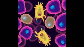 What is tumor necrosis factor alpha (TNFa)?