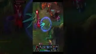 KAYN PERFECT DODGE