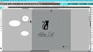 Basic silhouette business edition tutorial