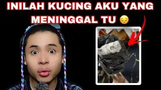 INILAH KUCING AKU YANG DAH MENINGGAL TU 😭😰 | KECIK LAGI😔