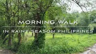 Rain Sounds in the Philippines | Soothing Walk Through Trees (4K ASMR)  | TAJINDER MEHRA