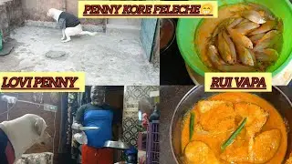 Aaj baniye chilam Ruhi 🐟 Fish vapa||Full Recipe ||Penny's Vlog Channel 😍