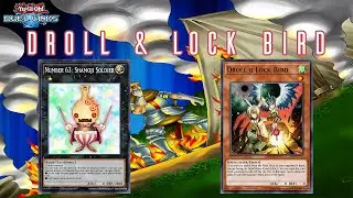 Droll & Lock Bird
