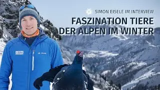 Faszination Tiere im Winter &ndash; Interview mit Simon Eisele