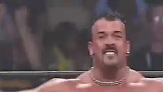 TNA Finisher : Buff Bagwell - Buff Blockbuster