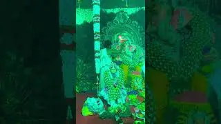 Shri Ganesh Aarti || 🙏 🙏@All-in-one-entertainment