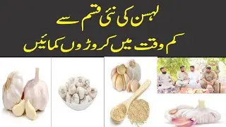 How to get profit from NARC G1 Garlic seed | #viral #seed #G1 #viralvideo #profit #onlineearning