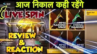 LIVE COMPARISON BETWEEN INCUBATOR MP40 - WHICH IS BETTER ??