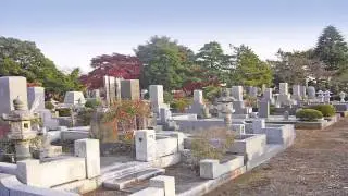【都営八柱霊園】（２分半動画）｜霊園の様子と評判ポイント