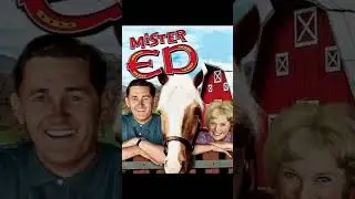 Old School Shows I Grew Up On Part 11 #vintage #70s ##classicshows #lassie
