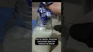 Esto no es solo leche&hellip; es k&eacute;fir vivo en acci&oacute;n