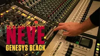Neve Genesys Black Console | Sección Canal