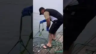 Crabbing Lesson : How to use a Crab Ring at Oregon Coast #outdoors #crab #fishing #beach #travel