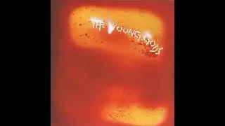 The Young Gods - L'Amourir