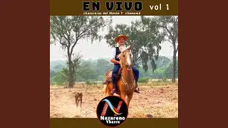 Chacareras del Monte la Mirona Pecha Moye (En Vivo)
