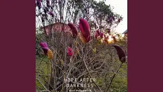HOPE AFTER DARKNESS