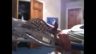 Twin Proton Powers