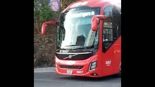 Mi unidad favorita, la 0007 😍  #autobuses #shorts #mobilityado #autobusesmexicanos #ado