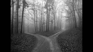The Lost Path