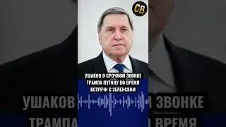 ЗВОНОК ТРАМПА ПУТИНУ #шортс #путин #трамп #россия #сша