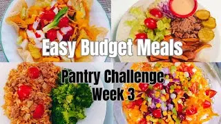 Easy Meals / Pantry Challenge  Week 3 / Homemade Applesauce Cake