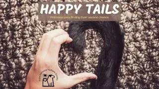Happy Tails - July 2021