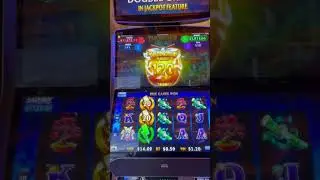 #gambler #slot #slotjackpot #casino #gamegambler #casinogame #dog #gambleslotonline #gamblinggame