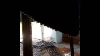 Failed Catnetting