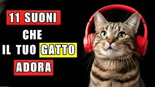 11 suoni che il tuo gatto ama
