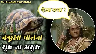 Before keeping any tortoise, know this. Should a tortoise be kept at home? Turtle. Tortoise. Tort...
