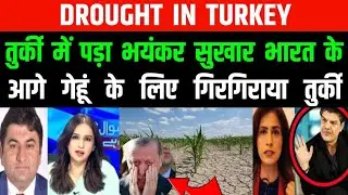 तुर्की में पड़ा भयंकर सुखार | DROUGHT IN TURKEY | Pakistan Media Reaction 