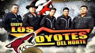 LA LEY DEL MONTE - LOS COYOTES DEL NORTE