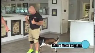 Ryburn Toyota ---  Monticello, AR.