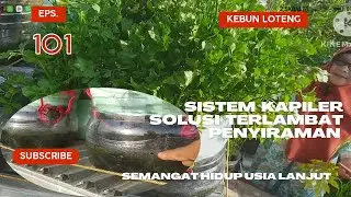 Eps. 101:  Kebun Loteng; Sistem Kapiler Solusi Terlambat Penyiraman; Semangat Hidup Usia Lanjut