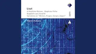Mephisto Waltz No. 3, S. 216