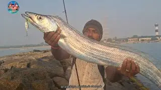 வாலை மீன் பிடிக்கும் காட்சி 