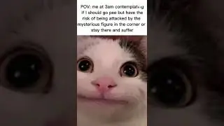 Relatable #funny #relatable #meme #likeandsubscribepls #plscomment