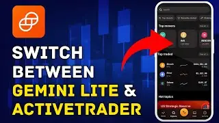 How to Switch Between Gemini Lite and ActiveTrader 2025?